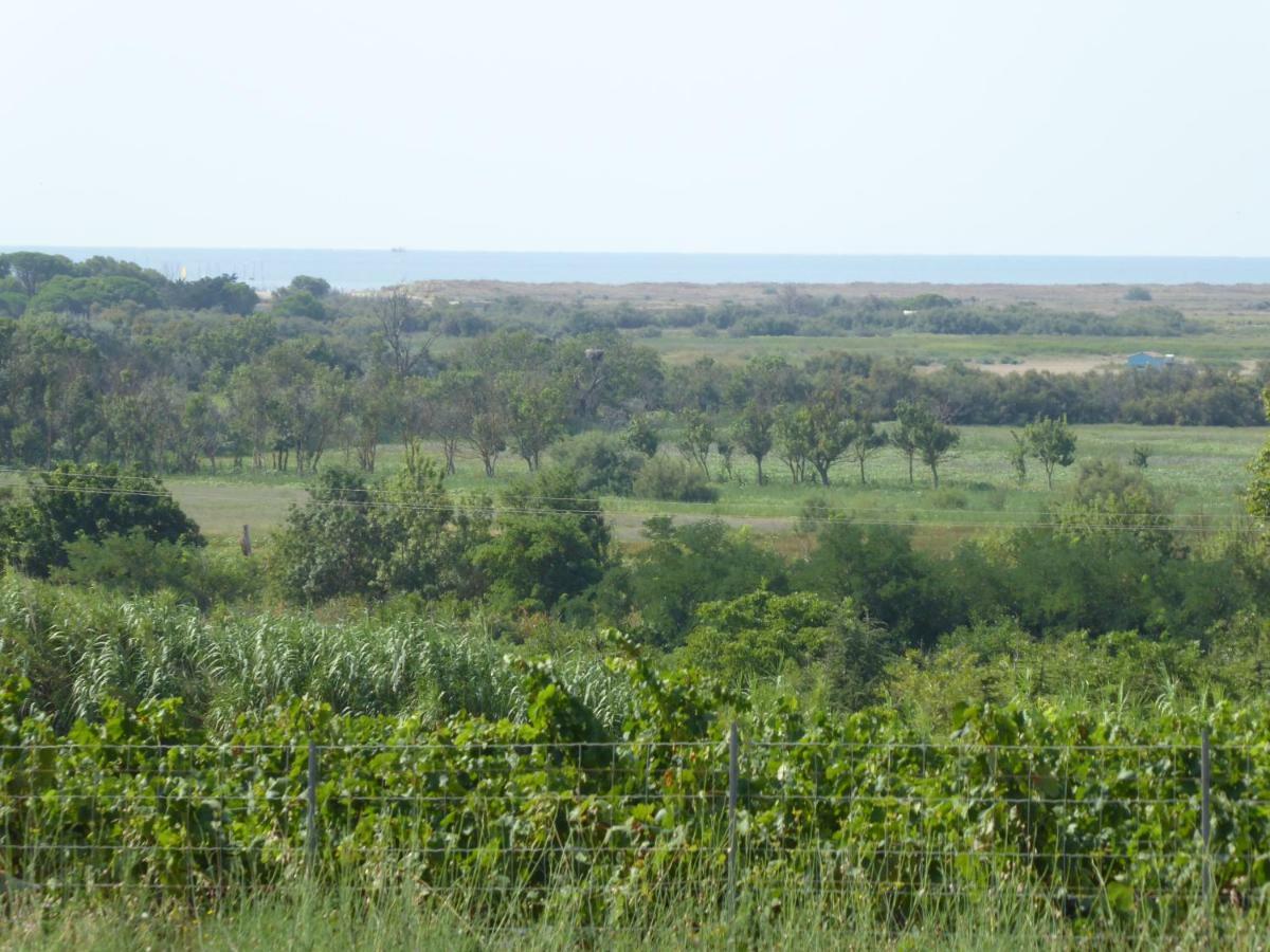 Gite Des Jonquies, Au Calme Vue Sur Le Canal Du Midi Et La Mer Portiragnes Esterno foto